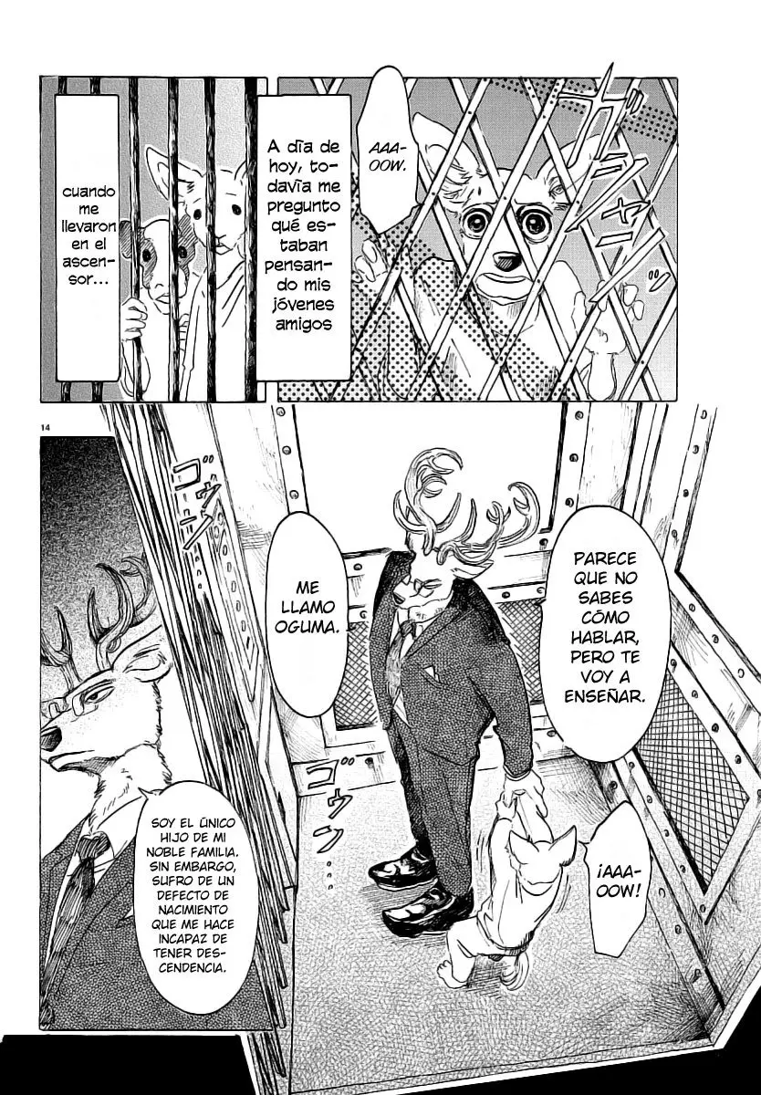 Beastars capítulo 33 página 16
