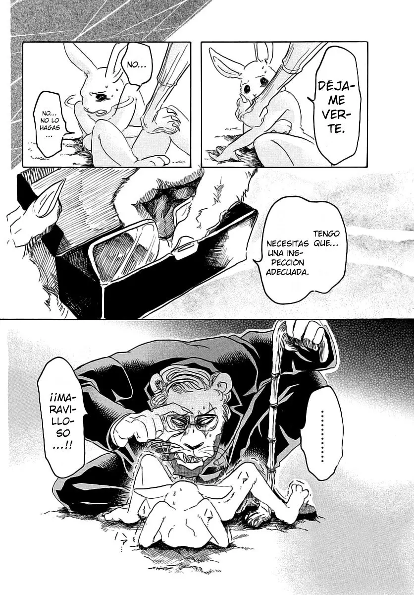Beastars capítulo 35 página 13