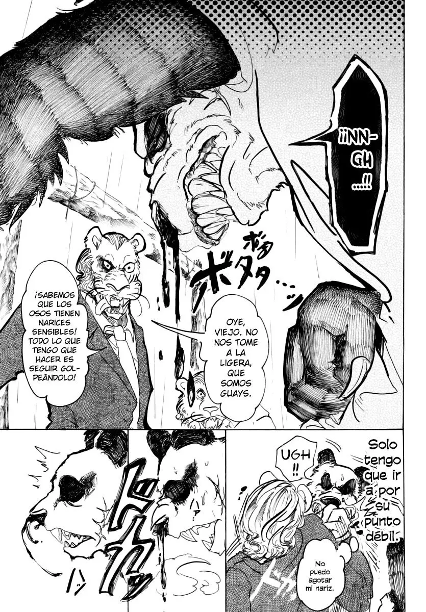 Beastars capítulo 40 página 4