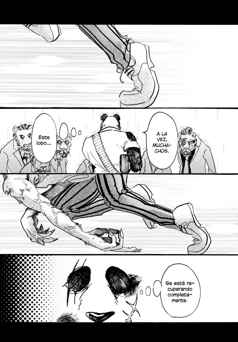 Beastars capítulo 40 página 12