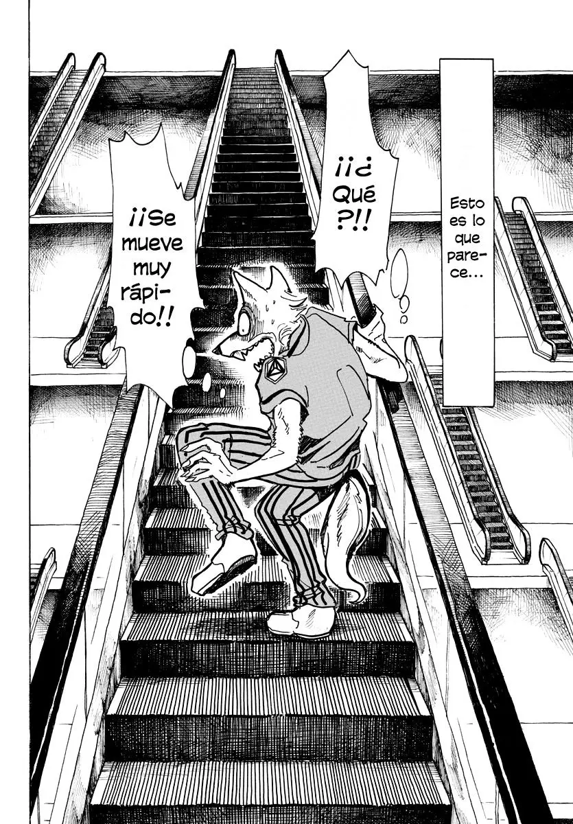 Beastars capítulo 43 página 11