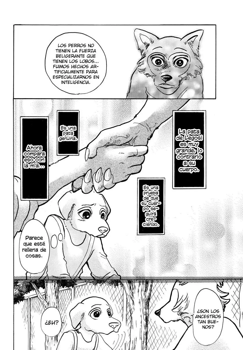 Beastars capítulo 49 página 13