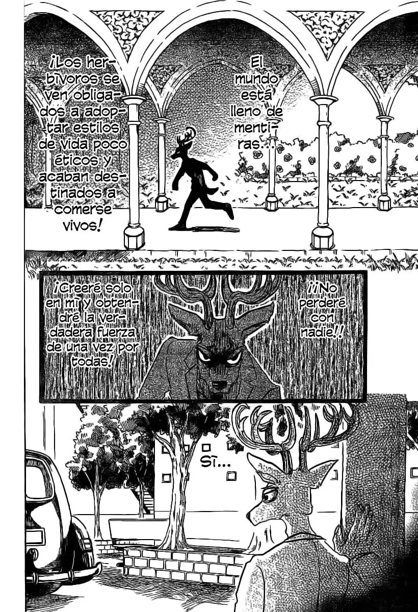 Beastars capítulo 50 página 17