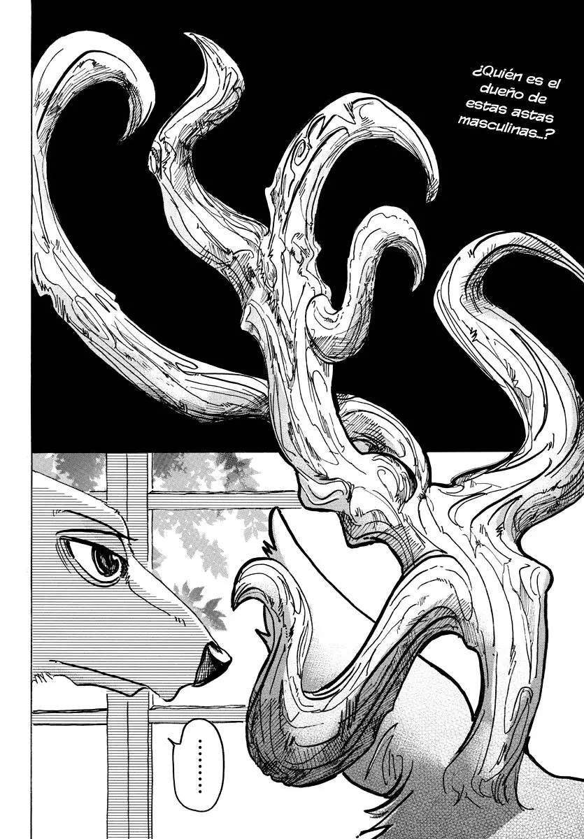 Beastars capítulo 65 página 3