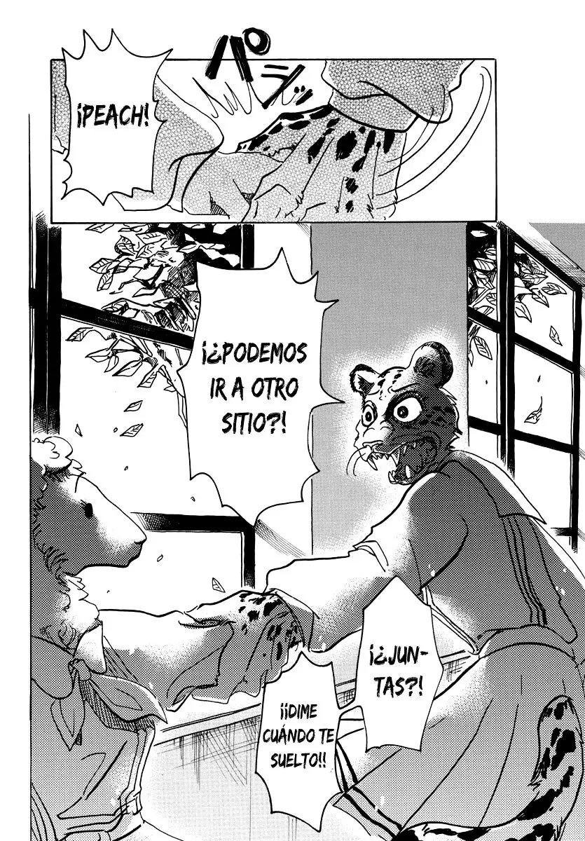 Beastars capítulo 70 página 11