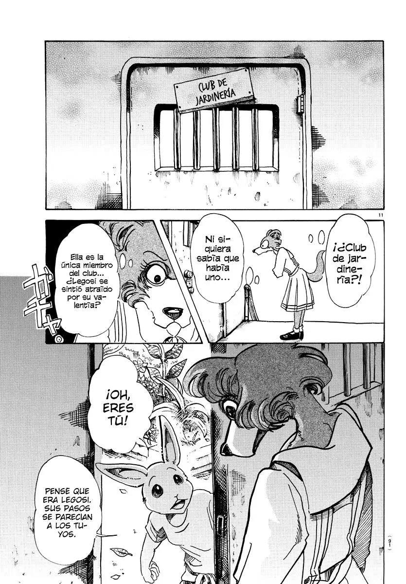 Beastars capítulo 79 página 12