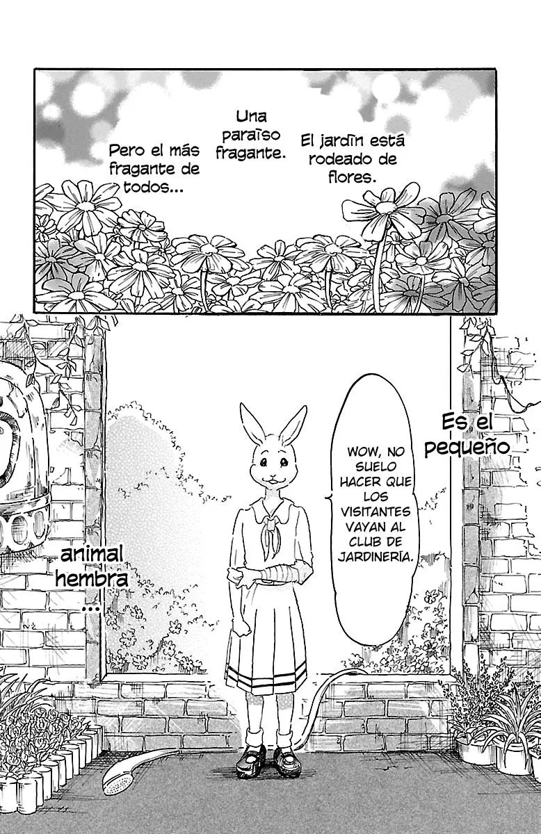 Beastars capítulo 8 página 5