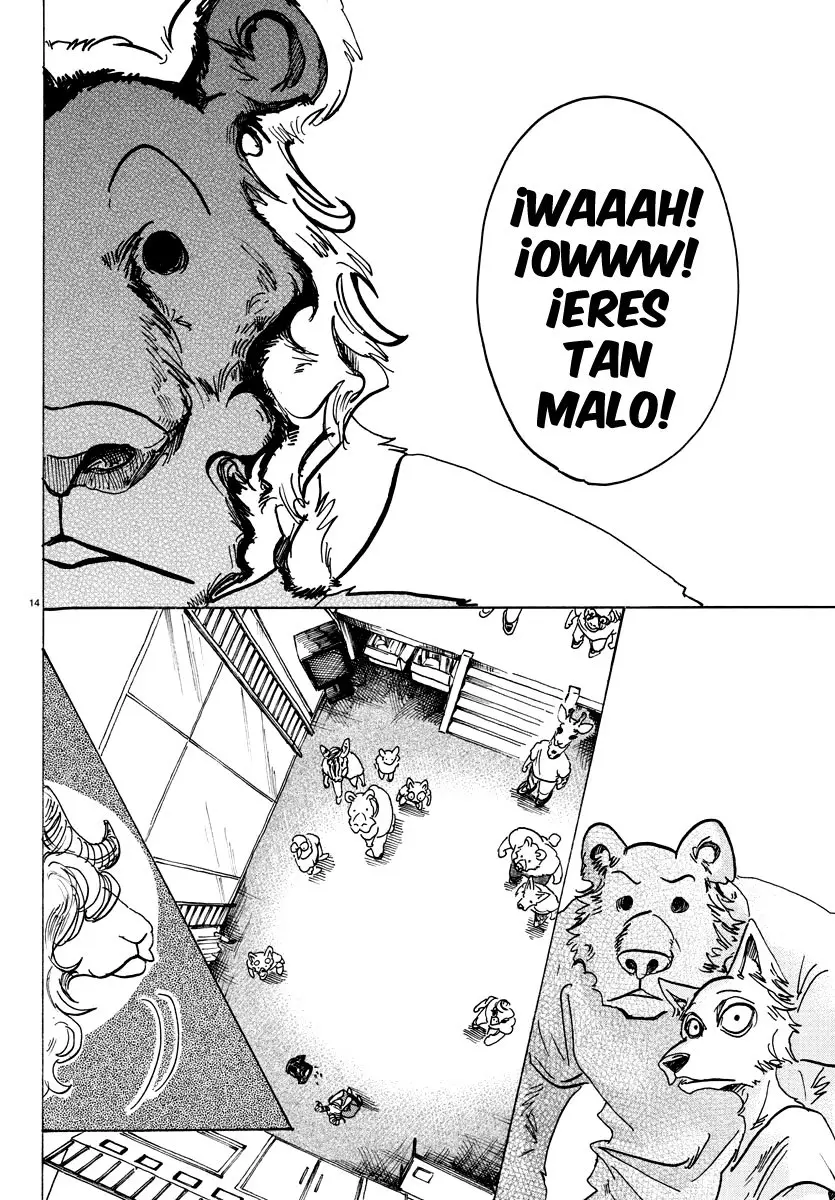 Beastars capítulo 81 página 14