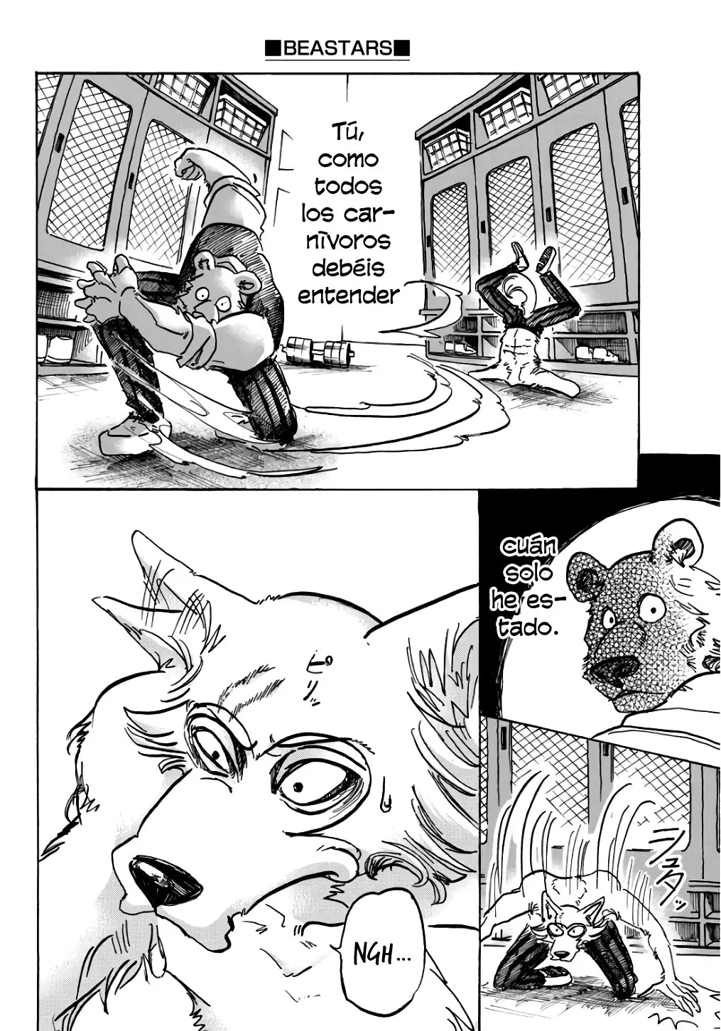 Beastars capítulo 84 página 12