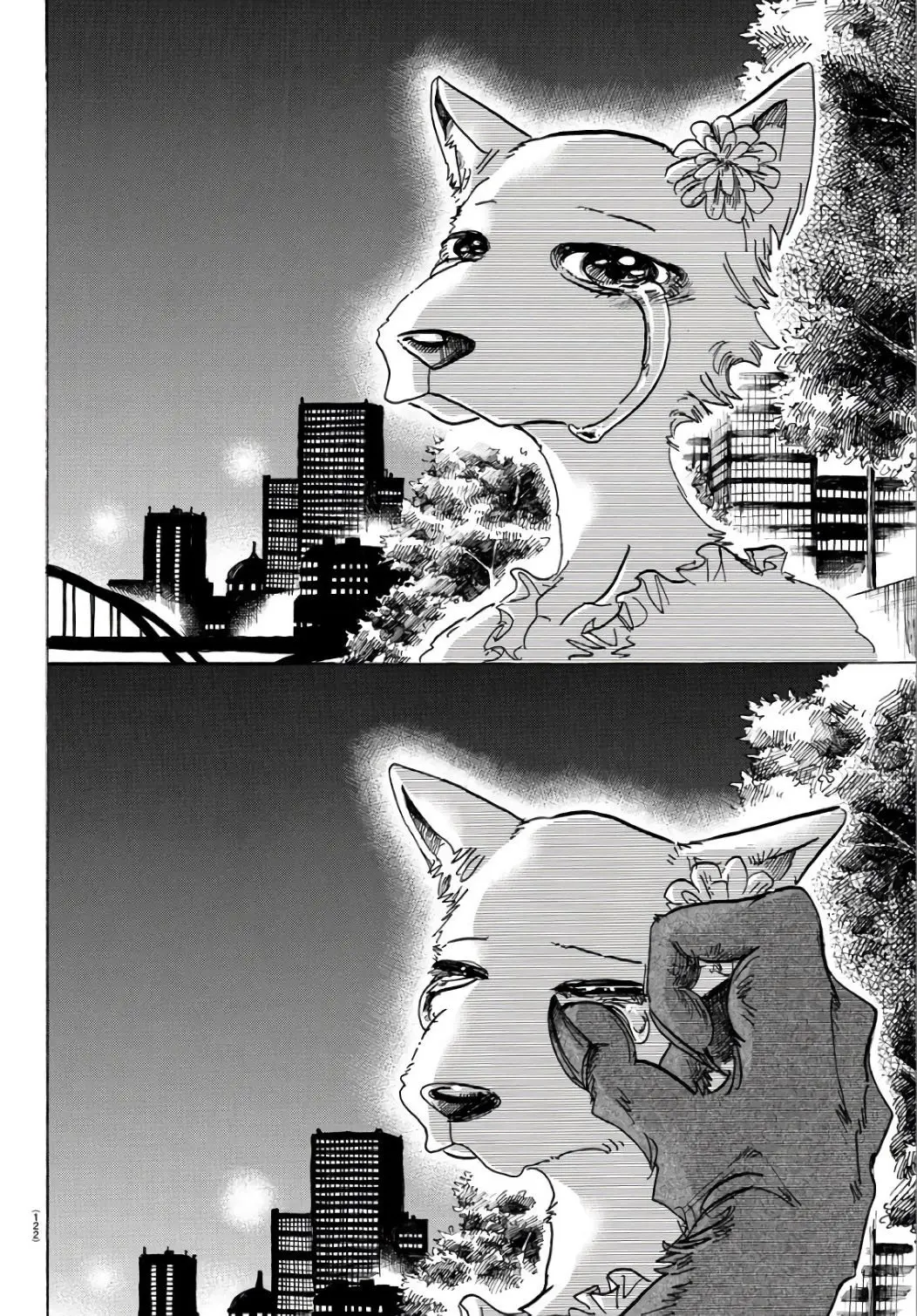 Beastars capítulo 86 página 18