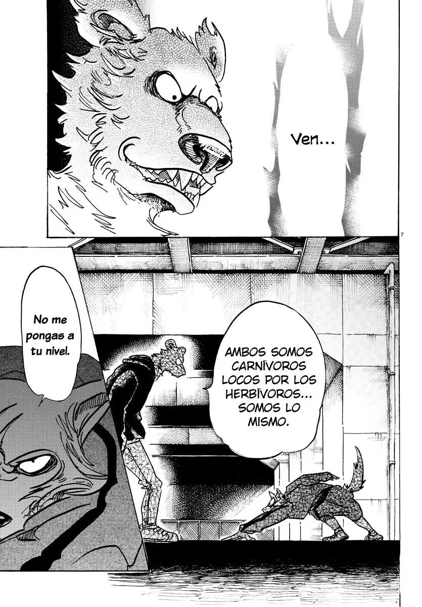 Beastars capítulo 91 página 8