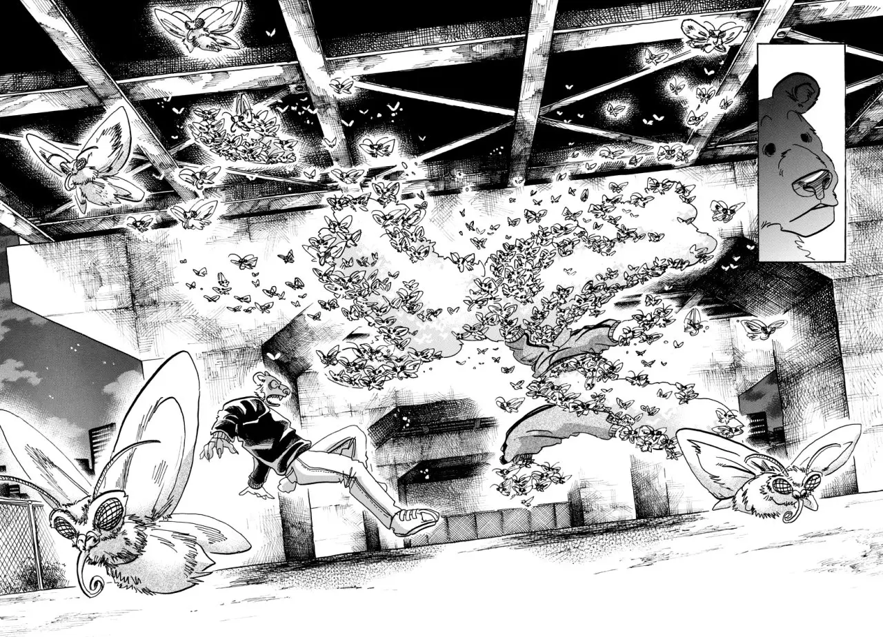 Beastars capítulo 93 página 13