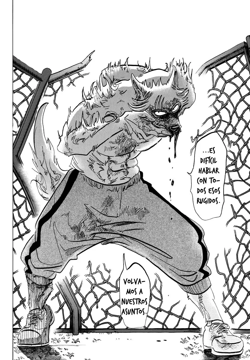 Beastars capítulo 95 página 20