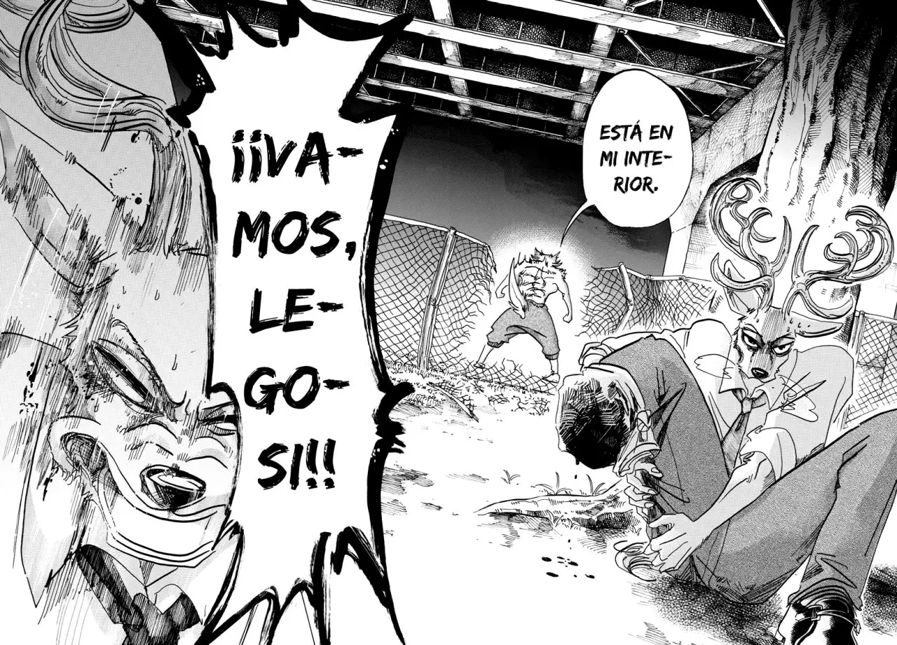 Beastars capítulo 96 página 9