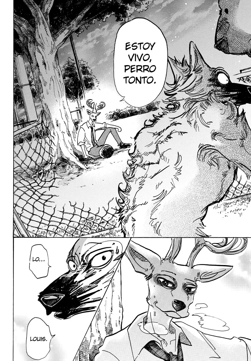 Beastars capítulo 96 página 17