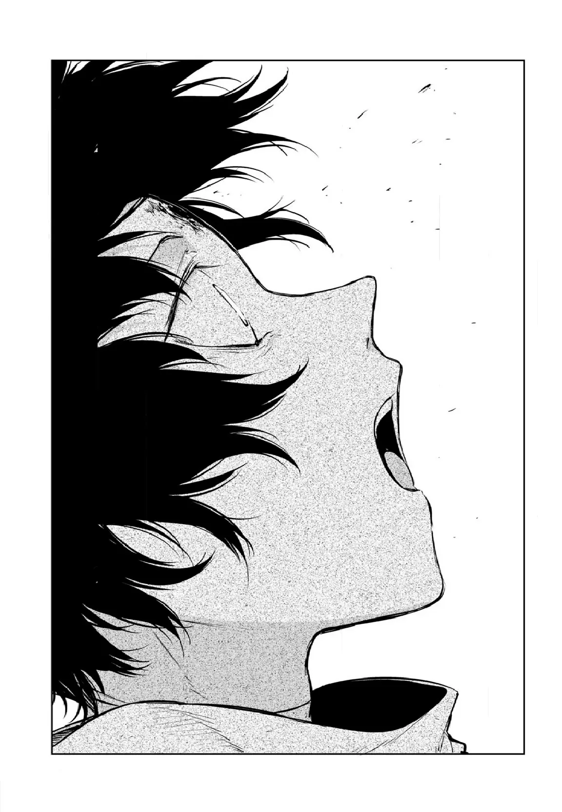 Bungou Stray Dogs capítulo 109 página 24