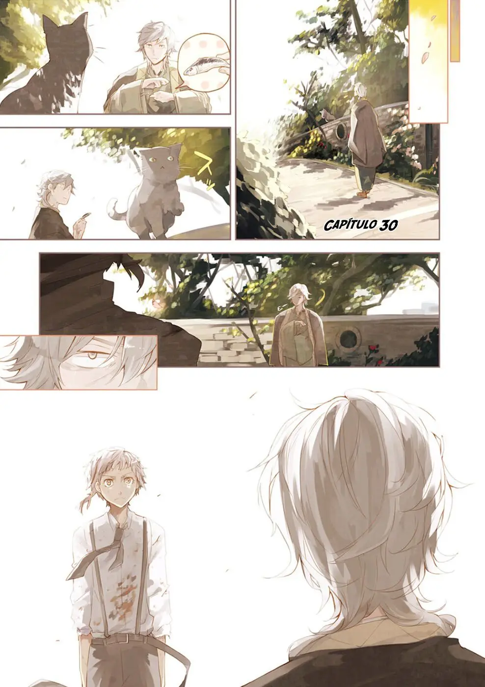 Bungou Stray Dogs capítulo 30 página 5