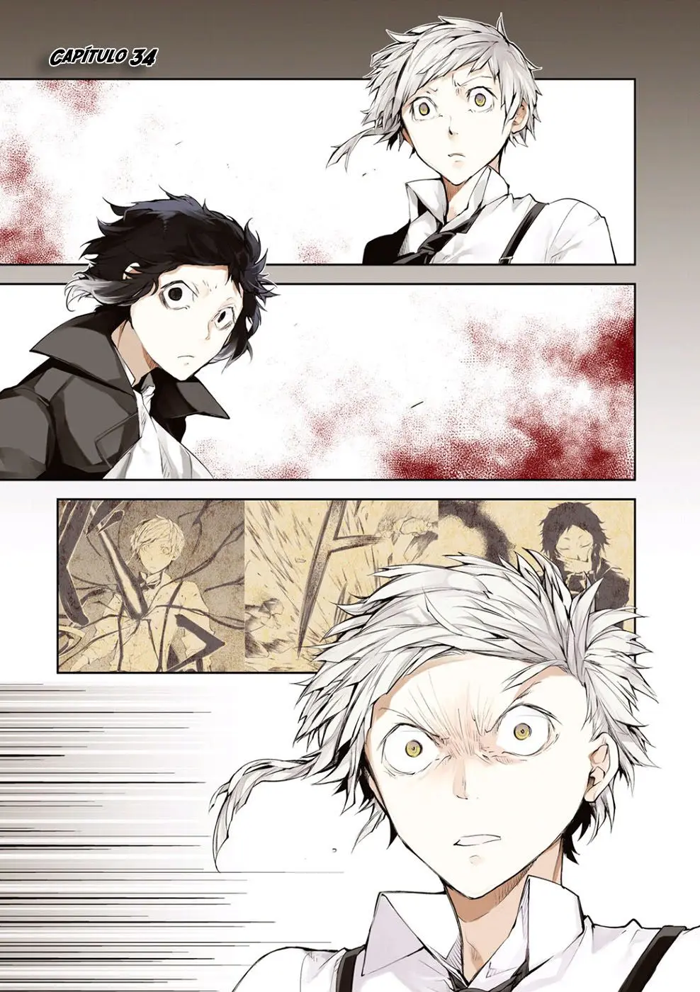 Bungou Stray Dogs capítulo 34 página 5
