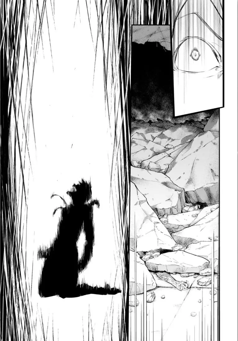 Bungou Stray Dogs capítulo 47.5 página 36