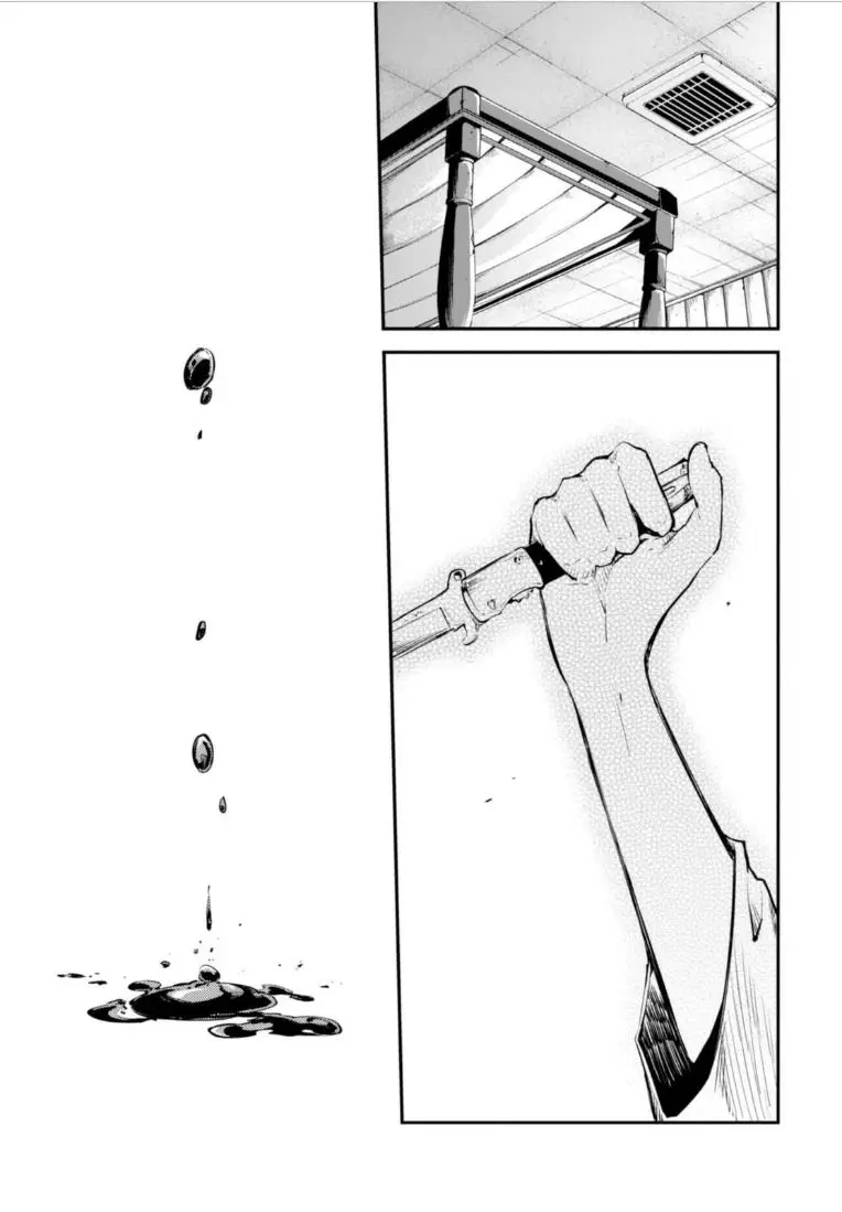 Bungou Stray Dogs capítulo 48 página 24