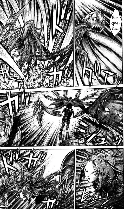 Claymore capítulo 62 página 14
