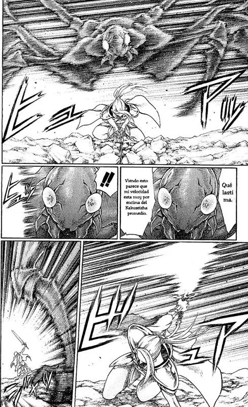 Claymore capítulo 65 página 17