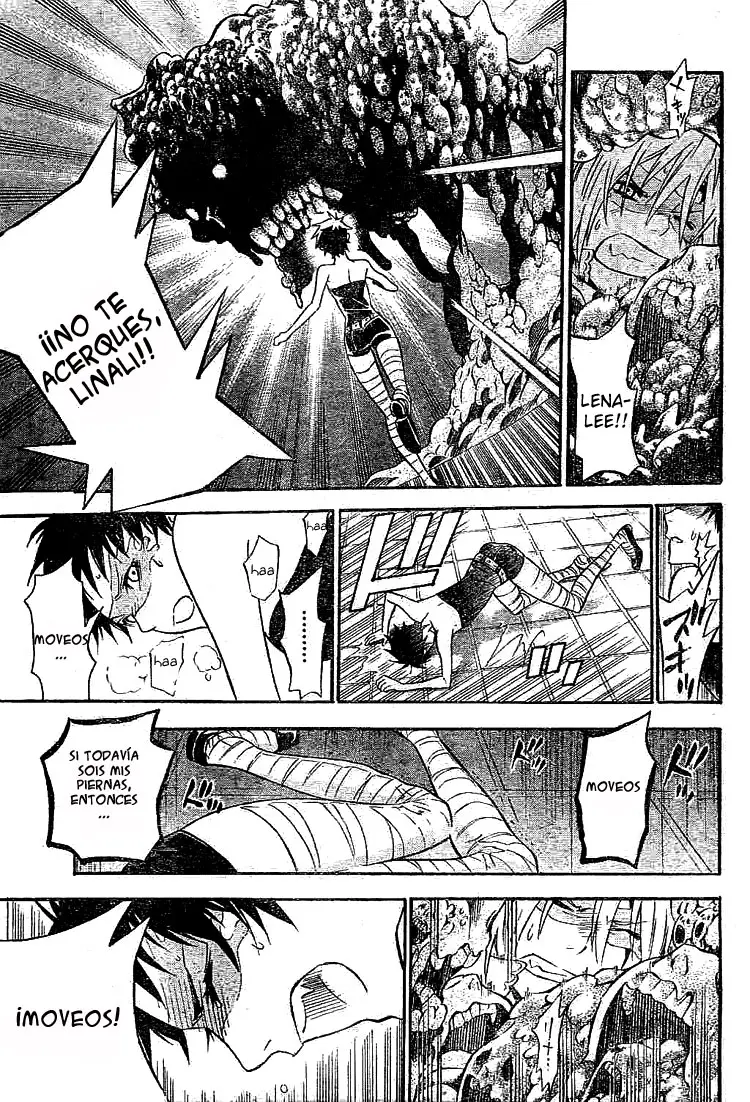 D.Gray-man capítulo 101 página 11