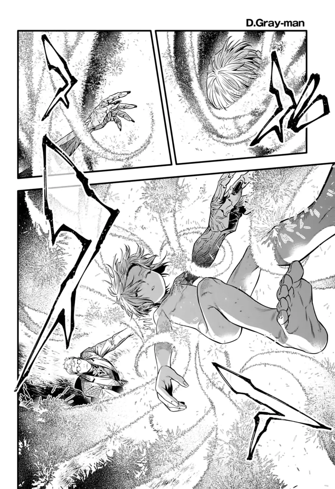 D.Gray-man capítulo 254 página 12