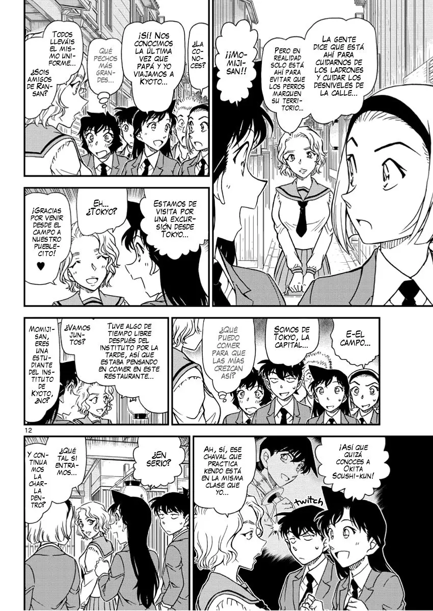 Detective Conan capítulo 1002 página 13