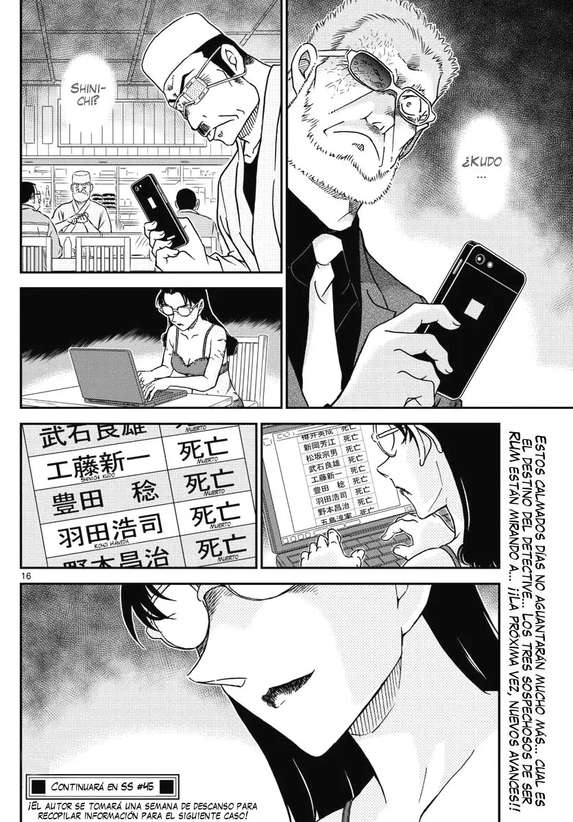 Detective Conan capítulo 1005 página 17
