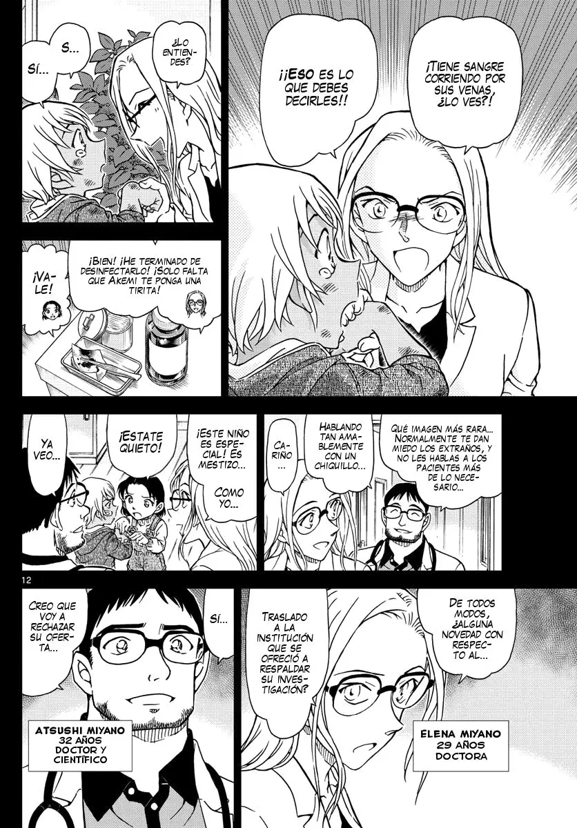 Detective Conan capítulo 1011 página 13