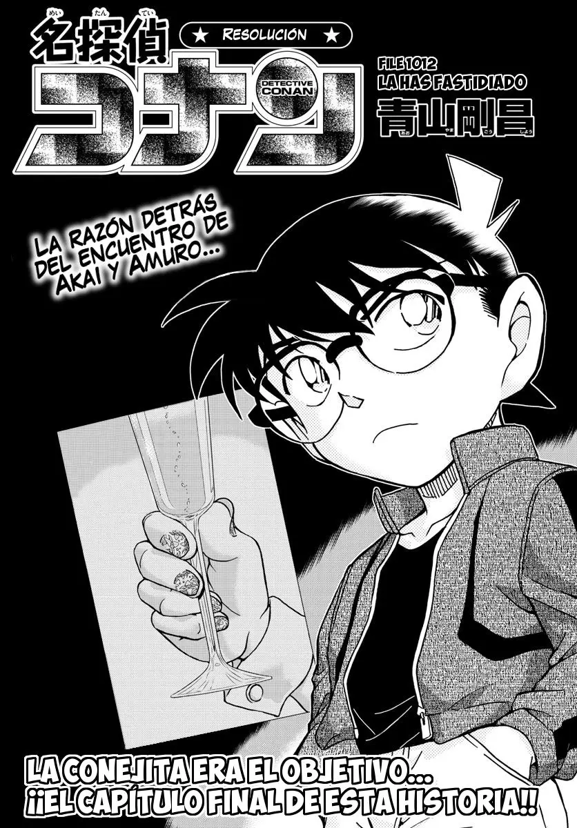 Detective Conan capítulo 1012 página 2