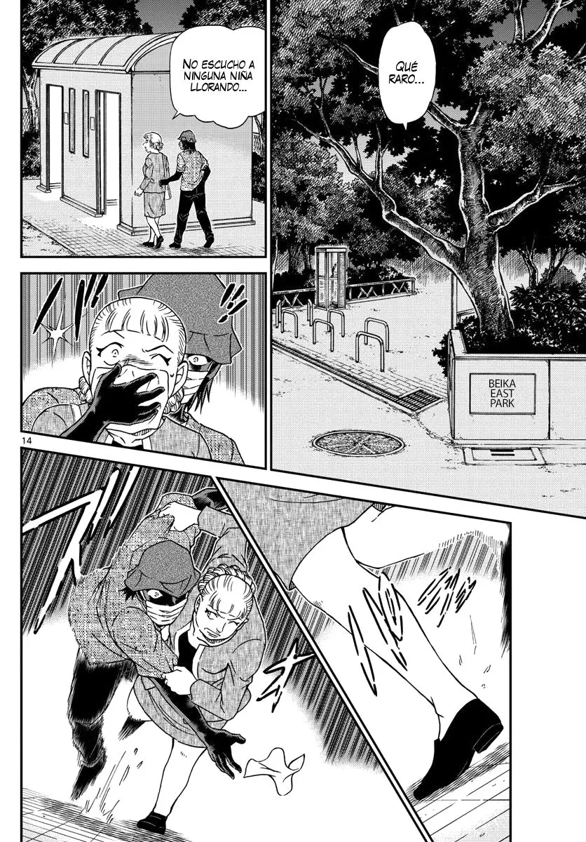 Detective Conan capítulo 1013 página 15