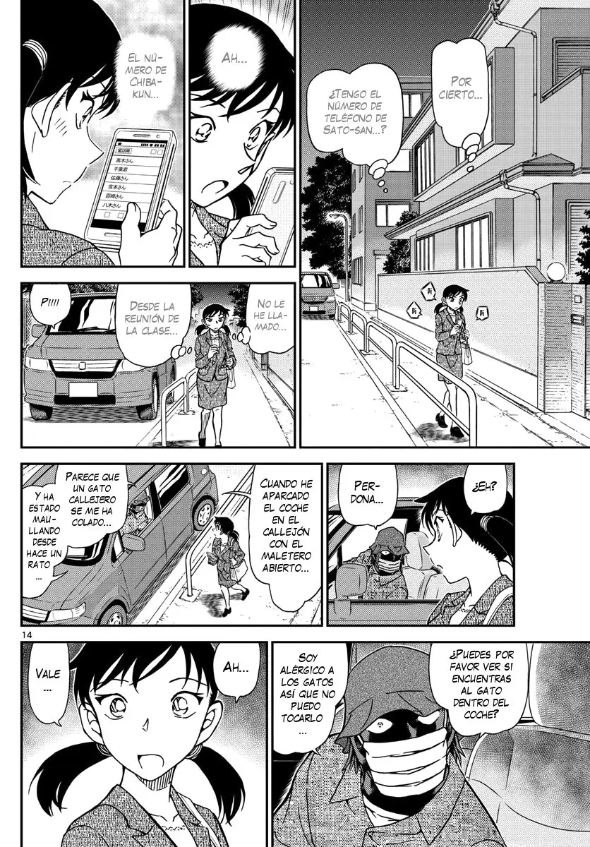 Detective Conan capítulo 1016 página 15