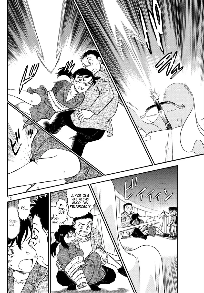 Detective Conan capítulo 1017 página 13