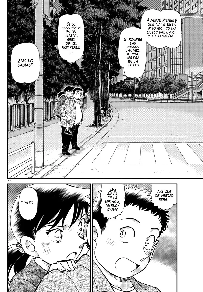 Detective Conan capítulo 1017 página 15