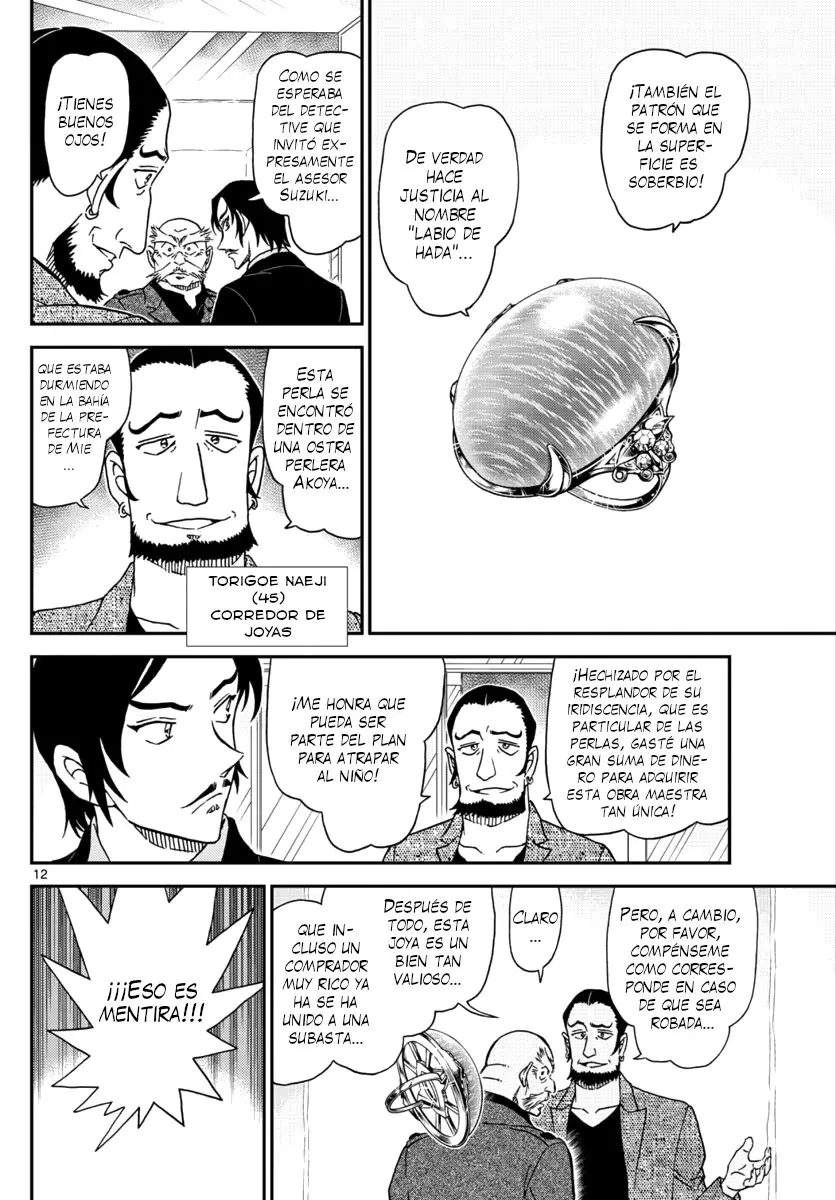 Detective Conan capítulo 1018 página 13