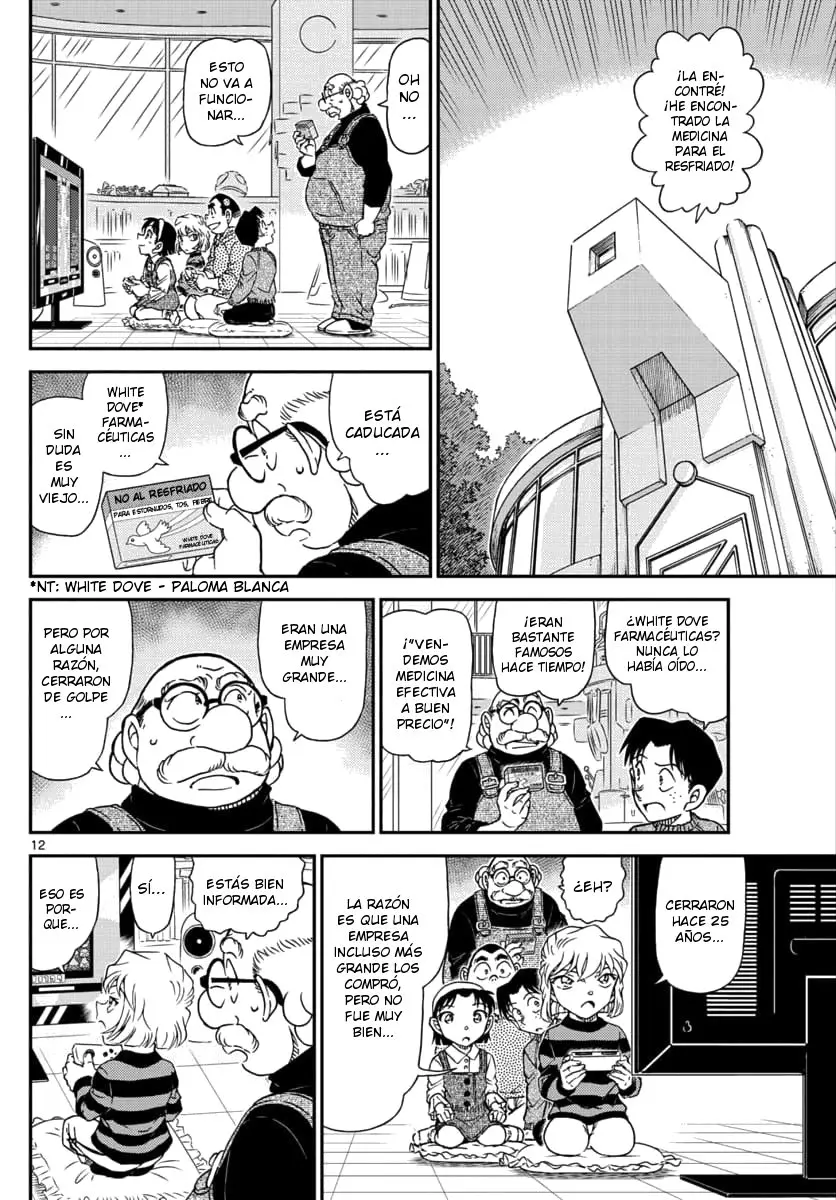 Detective Conan capítulo 1025 página 12