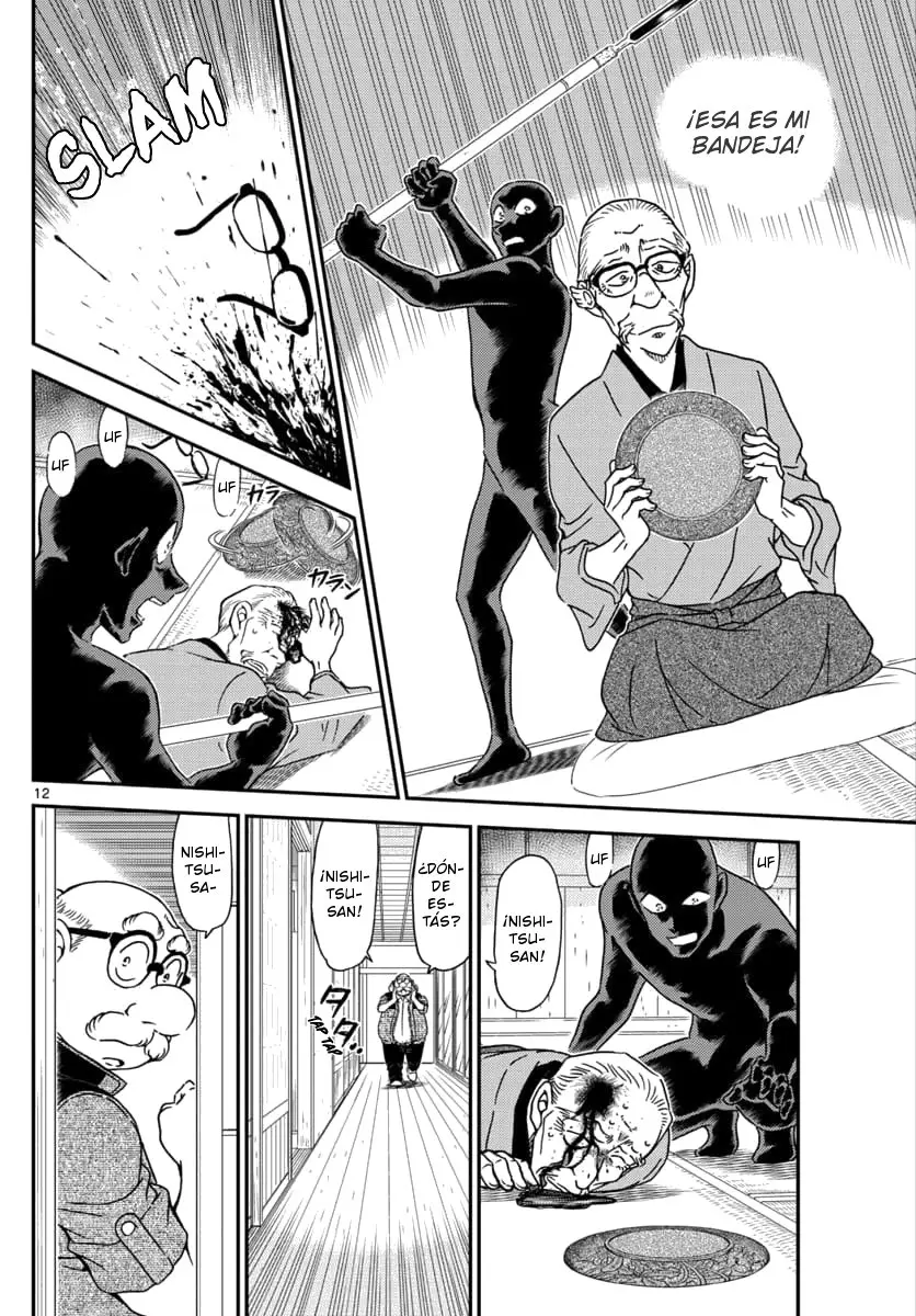 Detective Conan capítulo 1035 página 13