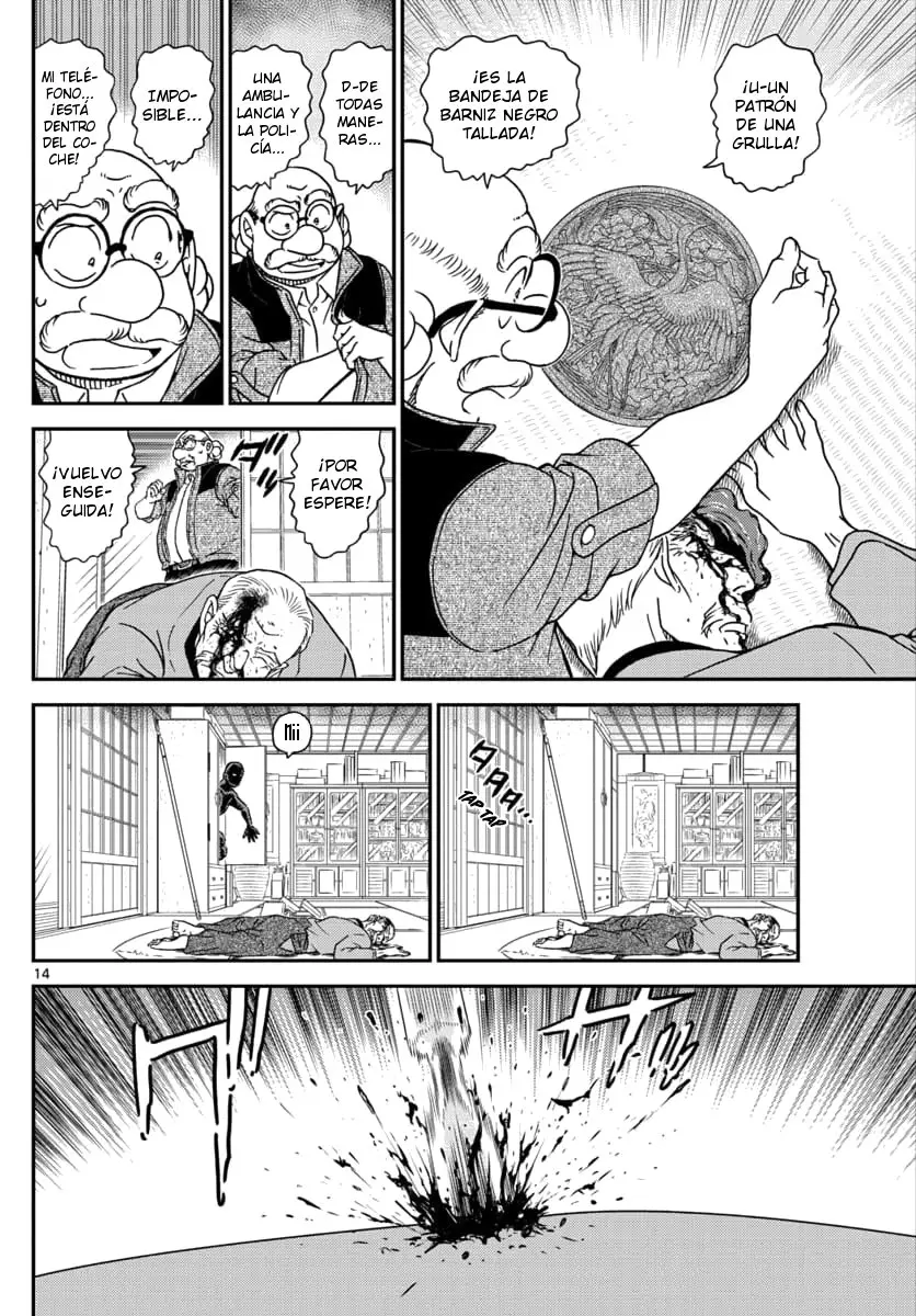 Detective Conan capítulo 1035 página 15