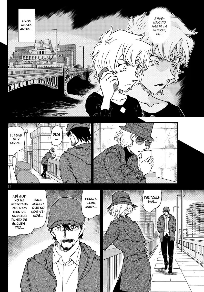 Detective Conan capítulo 1048 página 14
