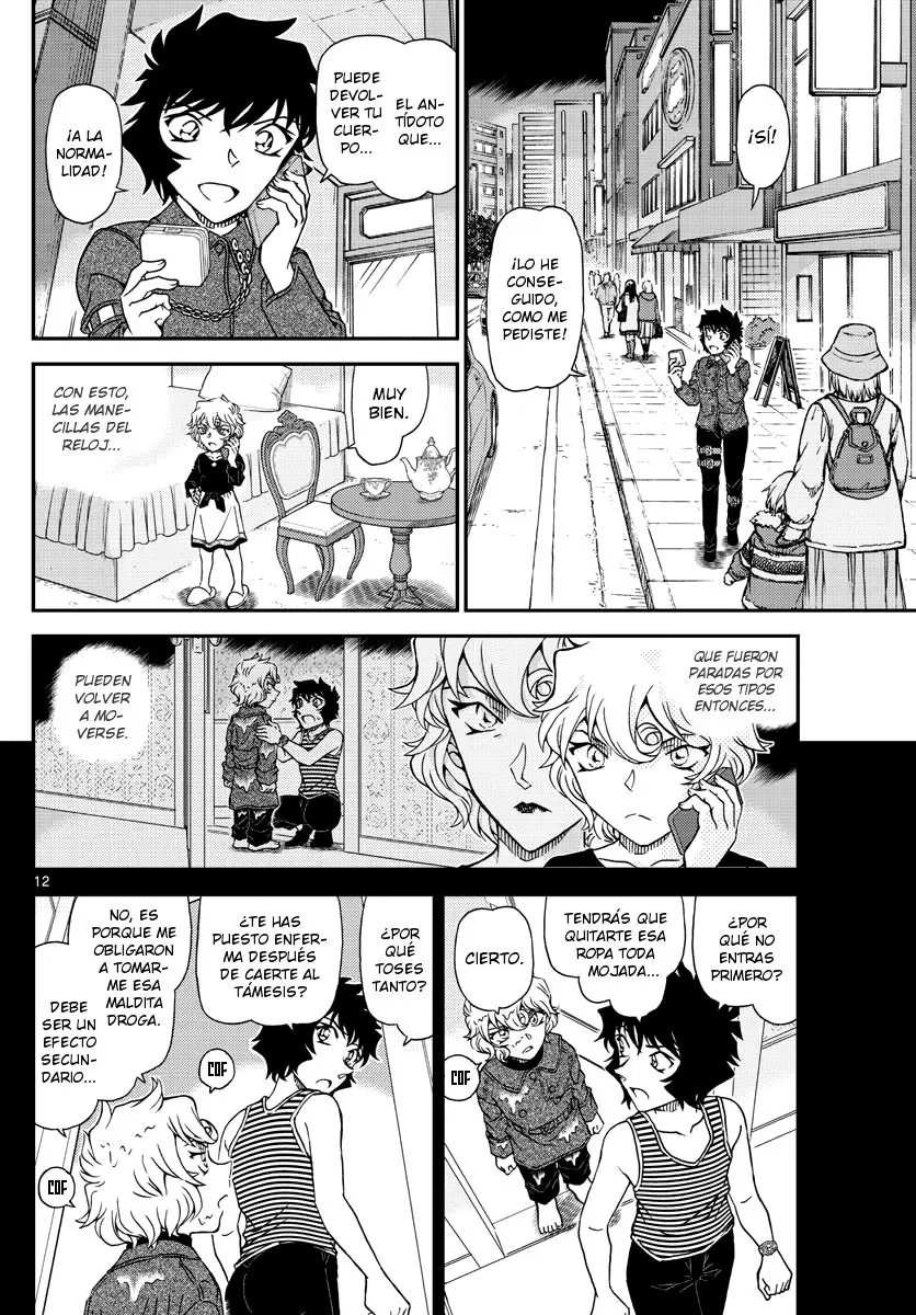 Detective Conan capítulo 1050 página 13