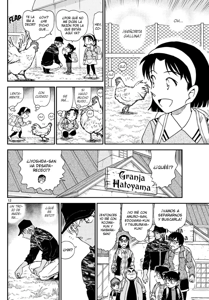 Detective Conan capítulo 1051 página 13
