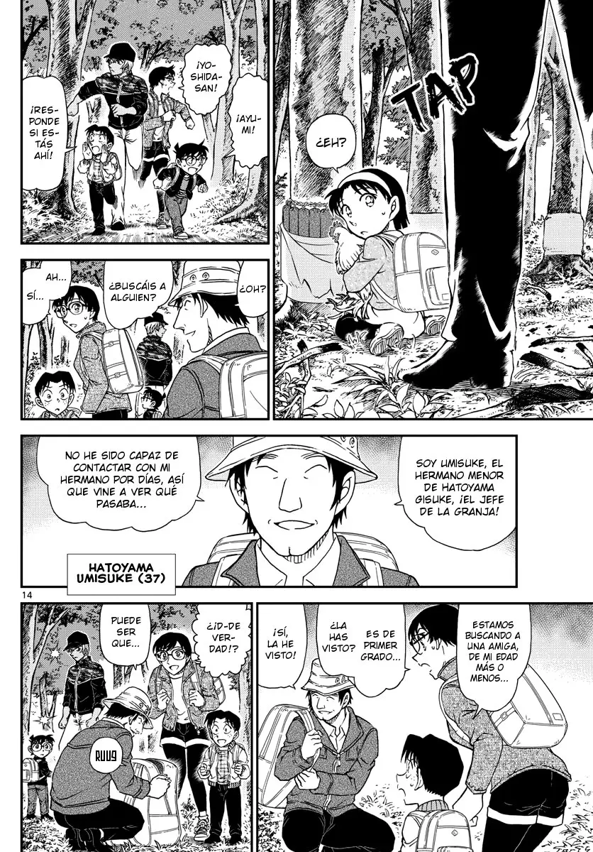 Detective Conan capítulo 1051 página 15