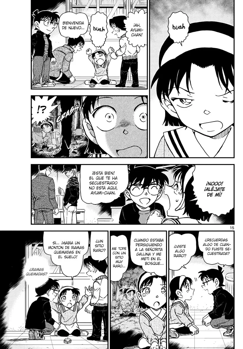 Detective Conan capítulo 1052 página 16
