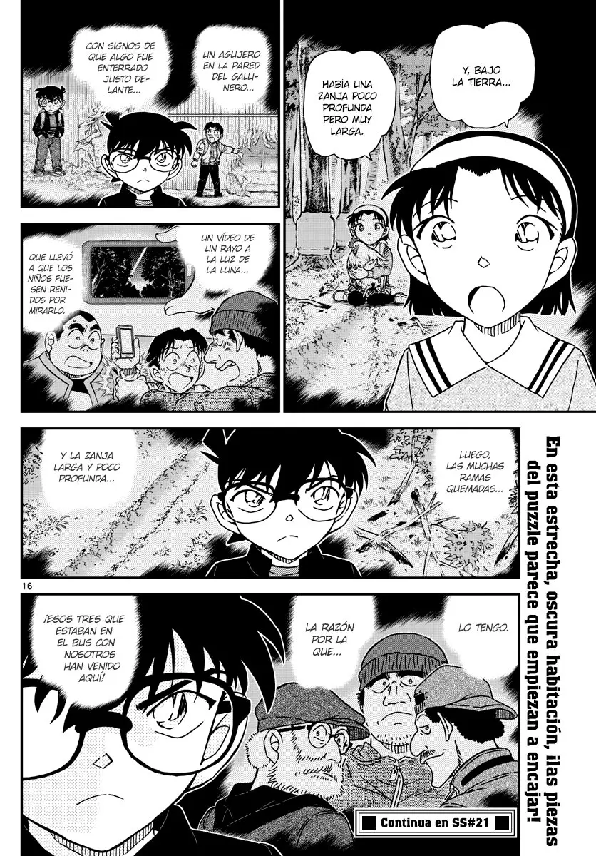 Detective Conan capítulo 1052 página 17