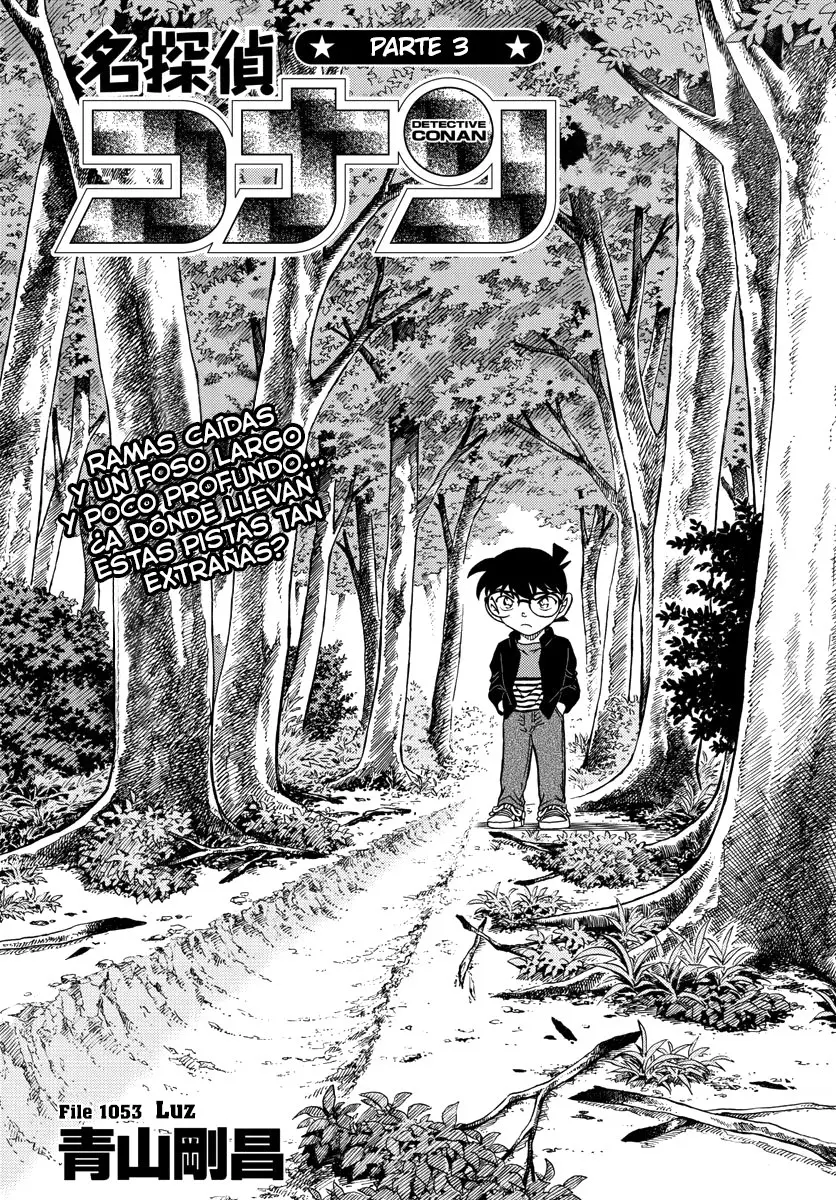 Detective Conan capítulo 1053 página 1
