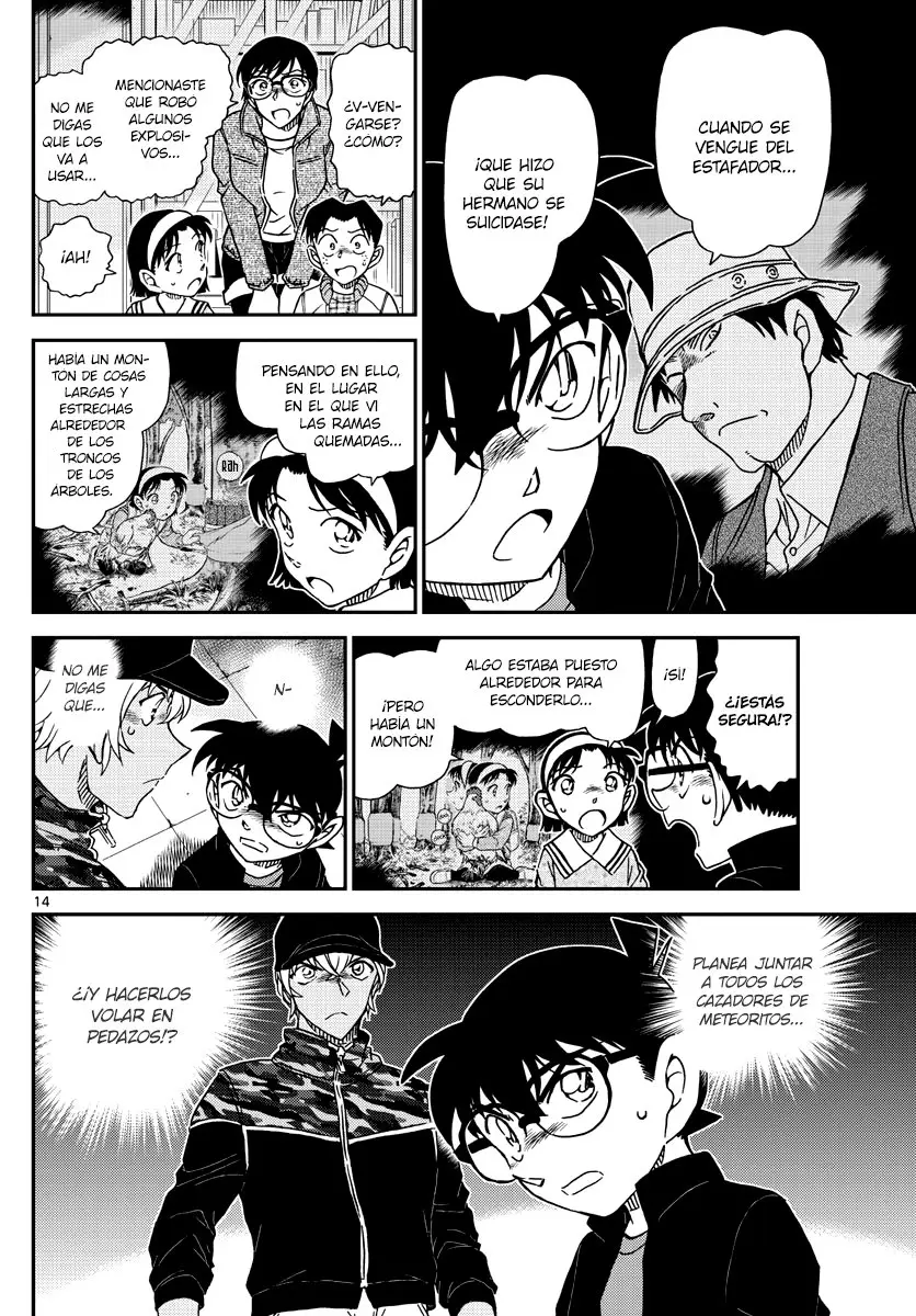Detective Conan capítulo 1053 página 14