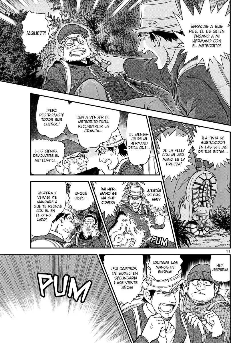 Detective Conan capítulo 1054 página 12