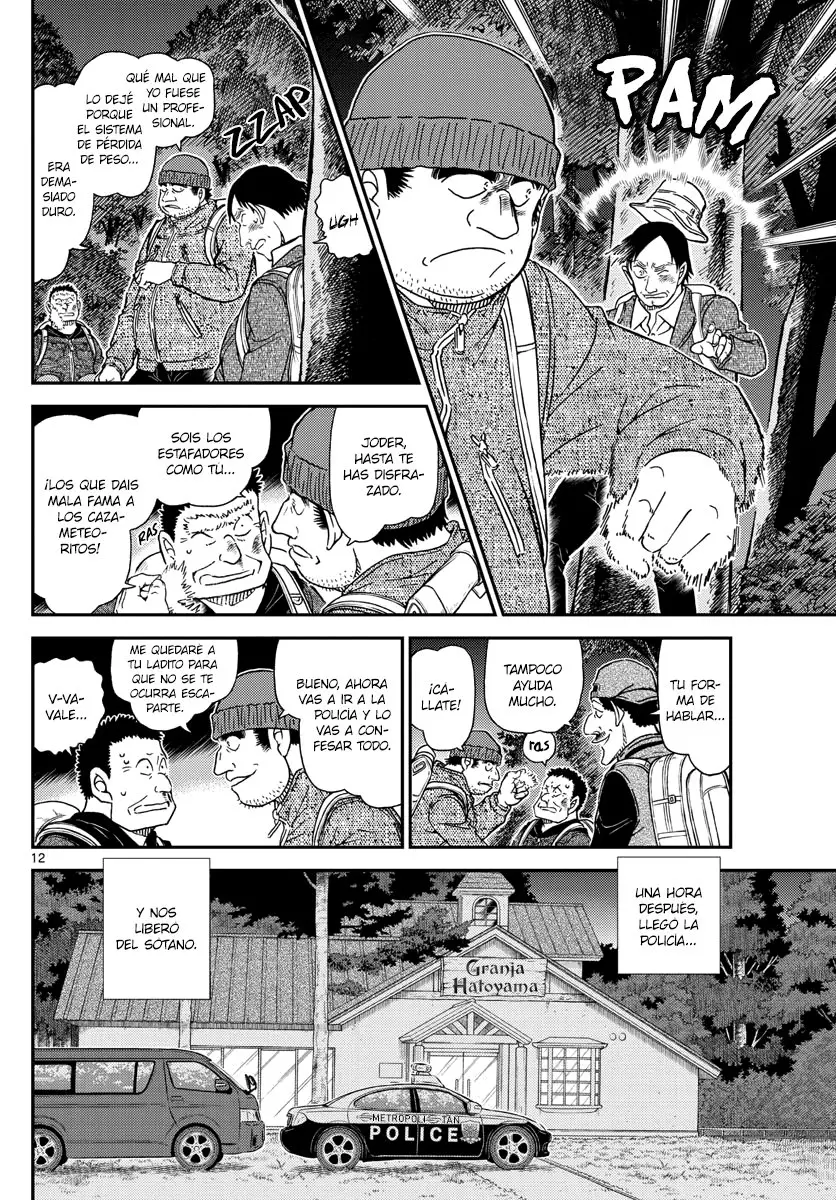 Detective Conan capítulo 1054 página 13
